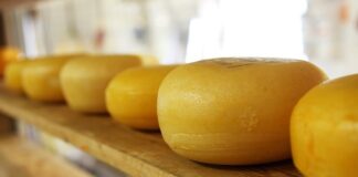 Ile białego sera można zjeść dziennie?