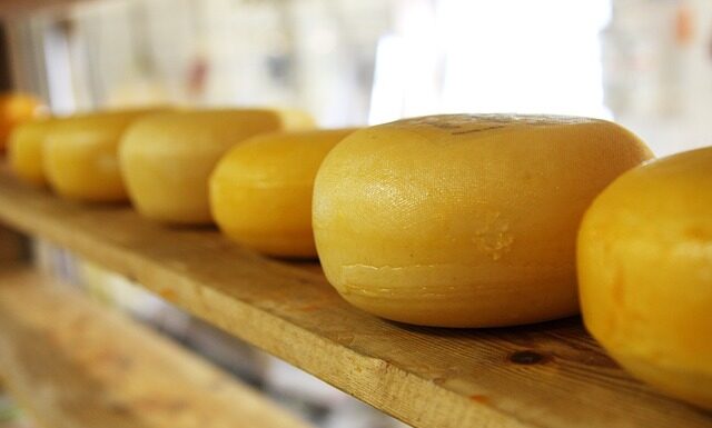 Ile białego sera można zjeść dziennie?